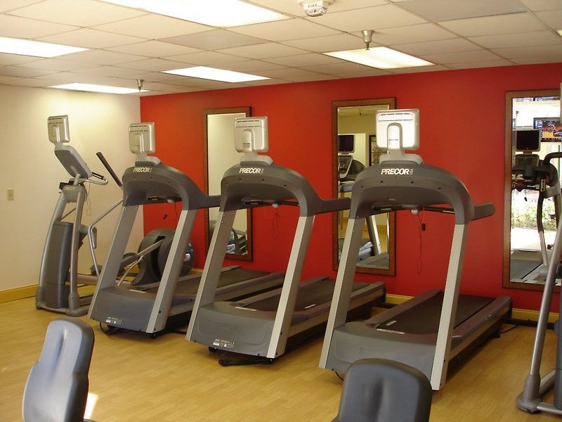 Hotel Westshore - Airport Area By Ihg Tampa